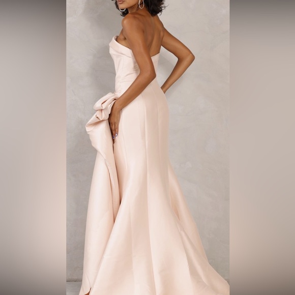 Champagne color Terani Couture gown - Picture 5 of 7